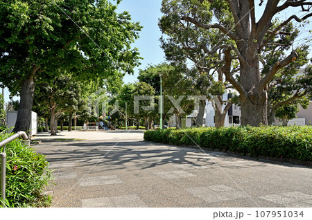 川口散歩：差間中公園　川口市差間 107951034