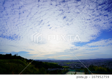 日没前のうろこ雲の夕べ・木津川市城址公園 107952759