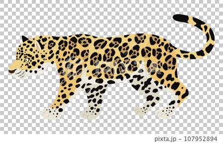 捷豹插圖 捷豹插圖 107952894