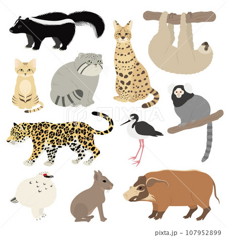 動物のイラストセット 107952899