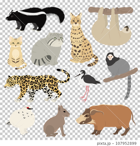 動物のイラストセット 107952899