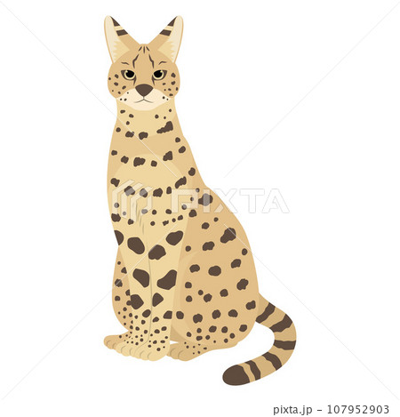 サーバルキャットのイラスト 107952903