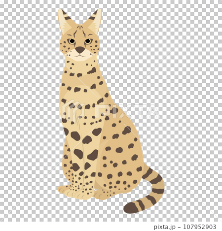 サーバルキャットのイラスト 107952903