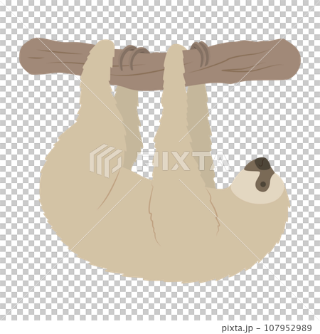 フタユビナマケモノのイラスト 107952989