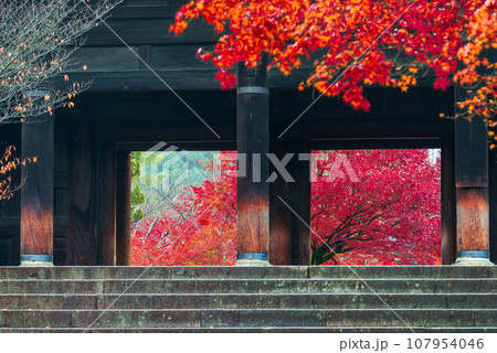 南禅寺三門の紅葉_7994 107954046