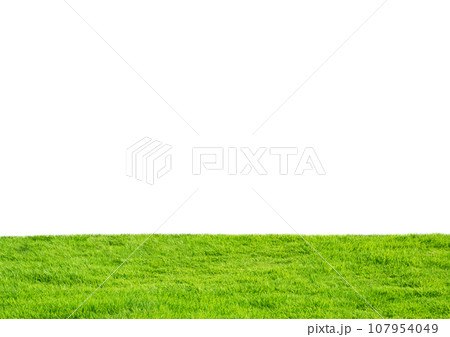 芝生　切り抜き　背景白（透過・透明） 107954049