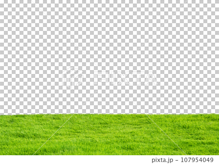 芝生　切り抜き　背景白（透過・透明） 107954049