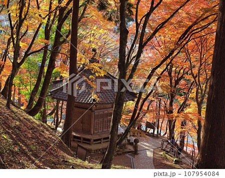 香嵐渓のモミジの紅葉風景 107954084