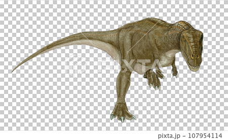 印度鱷，南半球的老兵 107954114