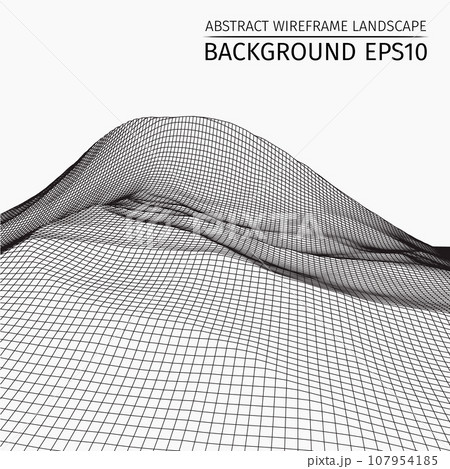 Wireframe landscape background. Abstract vector. 3d technology illustration. 107954185