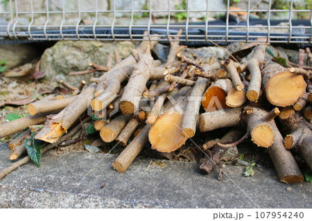 庭を手入れした時の、木の枝が積み重なる写真 107954240