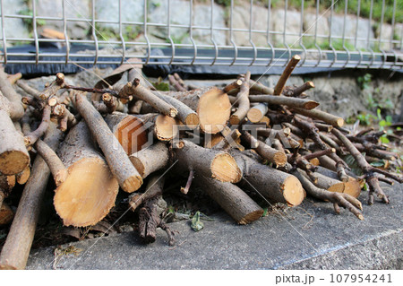 庭を手入れした時の、木の枝が積み重なる写真 107954241