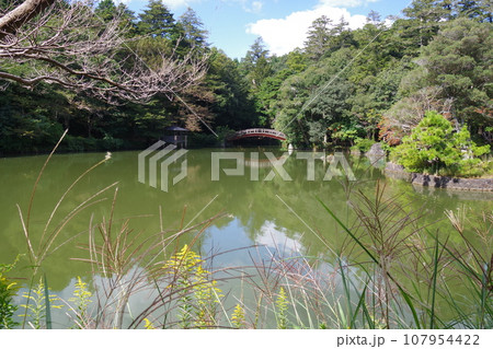 松江楽山公園の池の景色 107954422