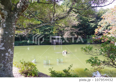 松江楽山公園の池の景色 107954432