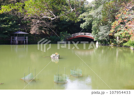 松江楽山公園の池の景色 107954433