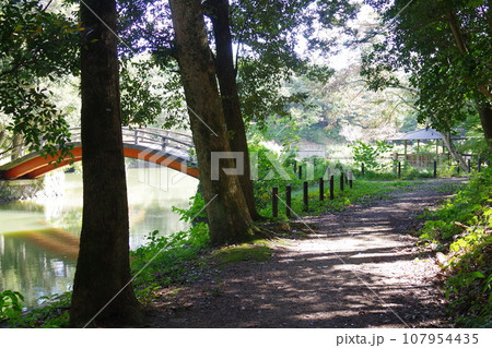 松江楽山公園遊歩道の景色 107954435