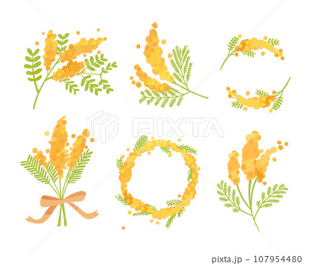 いろいろな形のミモザ 107954480