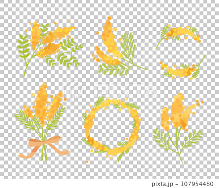 いろいろな形のミモザ 107954480