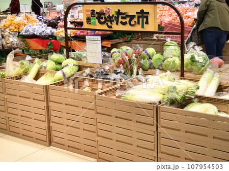 野菜大根キャベツ唐辛子茄子などが整然と並べられたスーパーマーケットの陳列棚 107954503
