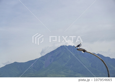 山をバックに街灯の上にとまる鳥 107954665
