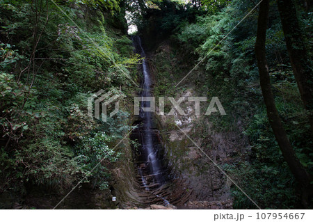 金神の滝　千葉県夷隅郡大多喜町 107954667