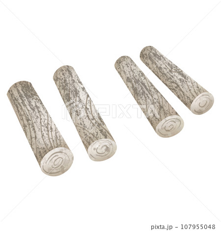 Pile of firewood 107955048