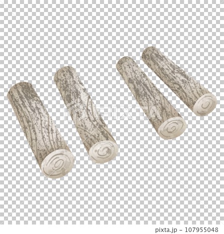 Pile of firewood 107955048