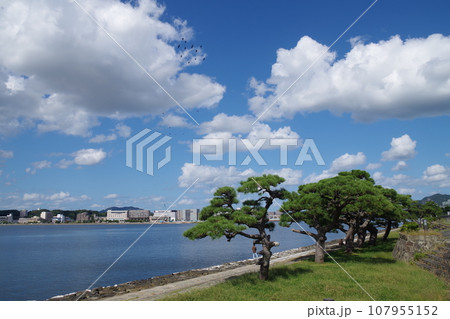 岸公園から眺めた景色 107955152