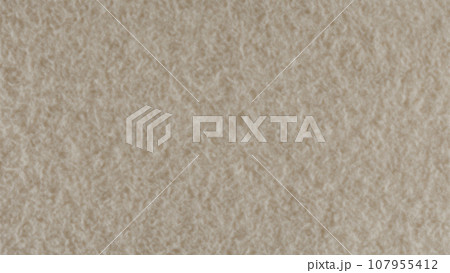 フェルト フェルト 107955412