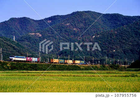 2002年 山陽本線を走るEF66100番台コンテナ貨物列車 2002年 山陽本線を走るEF66100番台コンテナ貨物列車 107955756