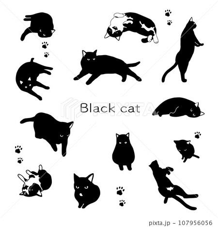 黒猫のシルエットイラスト素材 黒猫のシルエットイラスト素材 107956056
