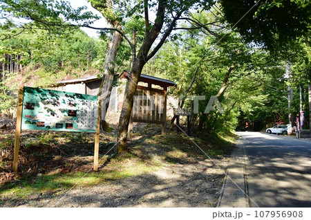 京都市左京区 いこいの里・久多キャンプ場付近の観光案内板と県道110号 京都市左京区 いこいの里・久多キャンプ場付近の観光案内板と県道110号 107956908