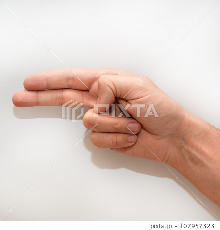 Letter H in American Sign Language (ASL) 107957323