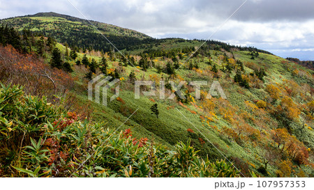 森吉山秋の絶景　秋田県 107957353