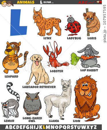 cartoon animal characters for letter L educational set cartoon animal characters for letter L educational set 107957595