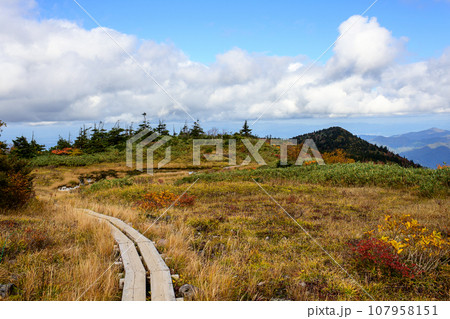 森吉山秋の絶景 秋田県 森吉山秋の絶景 秋田県 107958151