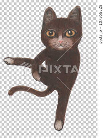 貓決定瑜珈姿勢 貓決定瑜珈姿勢 107958328