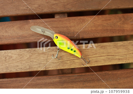 plug lure with a large paddle 107959938