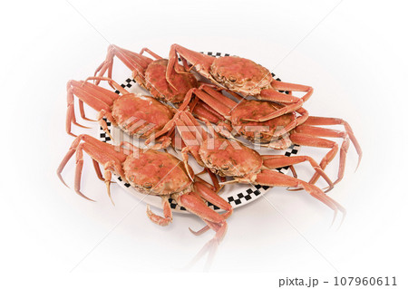 茹でセイコガニ（セコカニ・香箱ガニ） 107960611