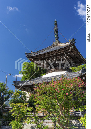 穴太寺　多宝塔と百日紅の花（京都府亀岡市） 107960785