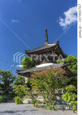 穴太寺　多宝塔と百日紅の花（京都府亀岡市） 107960787