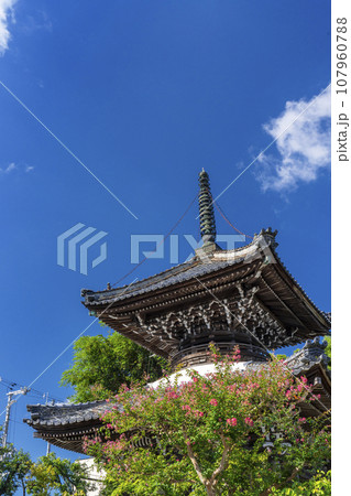 穴太寺　多宝塔と百日紅の花（京都府亀岡市） 107960788