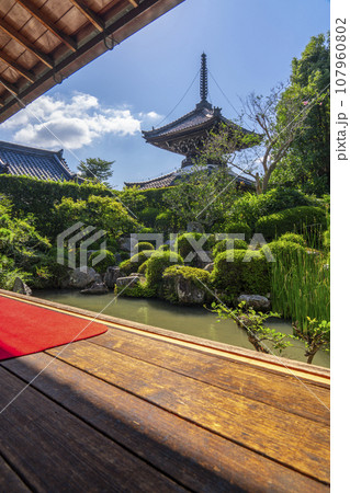 穴太寺 円応院庭園から見える多宝塔(京都府亀岡市) 穴太寺 円応院庭園から見える多宝塔(京都府亀岡市) 107960802