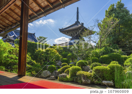 穴太寺 円応院庭園から見える多宝塔(京都府亀岡市) 穴太寺 円応院庭園から見える多宝塔(京都府亀岡市) 107960809