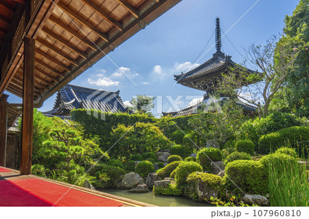 穴太寺　円応院庭園から見える多宝塔（京都府亀岡市） 107960810