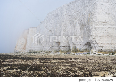 Misty morning in Hope Gap beach, Cuckmere Haven, located between Seaford and Eastbourne. Pebbly coastline with seaweed and the white cliffs on the background, selective focus Misty morning in Hope Gap beach, Cuckmere Haven, located between Seaford and Eastbourne. Pebbly coastline with seaweed and the white cliffs on the background, selective focus 107960829