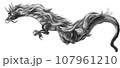 迫力ある龍のシルエット 107961210