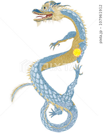 リアルな龍のイラスト 107961912