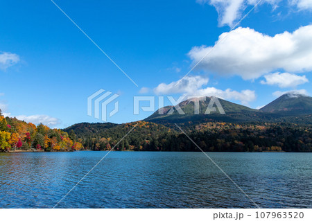 北海道 秋のオンネトーの紅葉 北海道 秋のオンネトーの紅葉 107963520