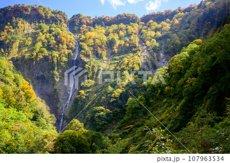 紅葉とハンノキ滝 紅葉とハンノキ滝 107963534